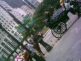 /album/fotogaleria/central-park-jpg/